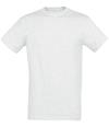 11380 Regent T-shirt Ash colour image